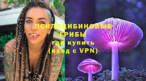тгк Верея