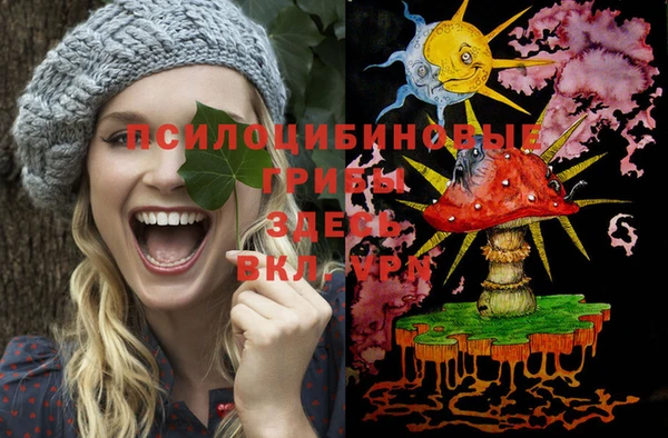 мяу мяу мука Волоколамск